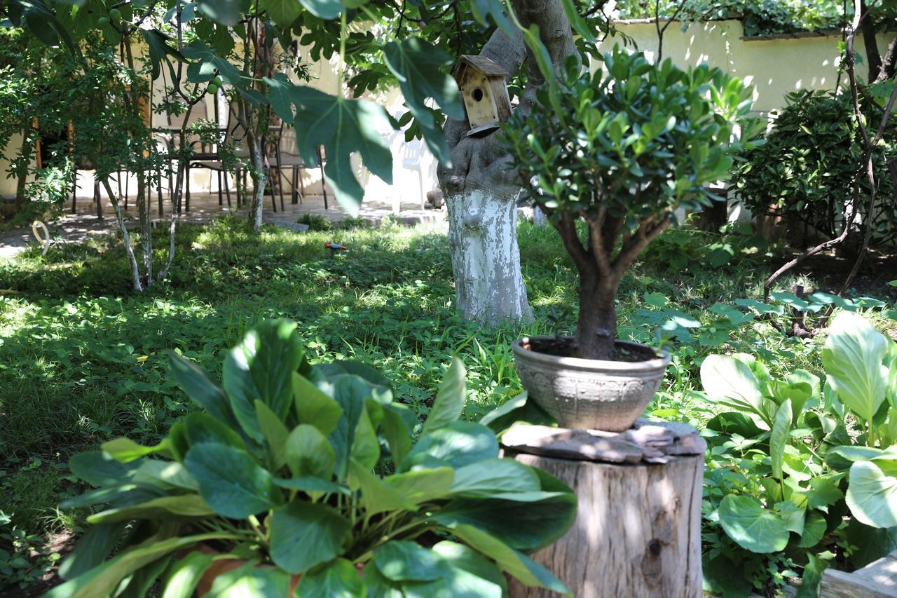 4Bd Appartaments With Cozy Garden Тбилиси Экстерьер фото